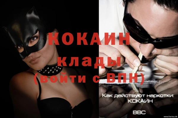 индика Беслан