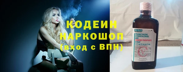 индика Беслан