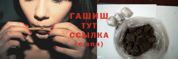 индика Беслан