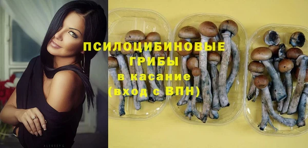ECSTASY Сафоново