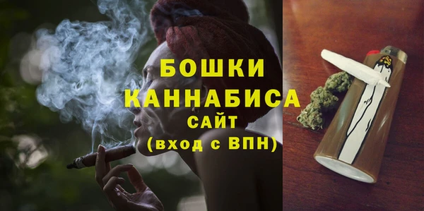индика Беслан
